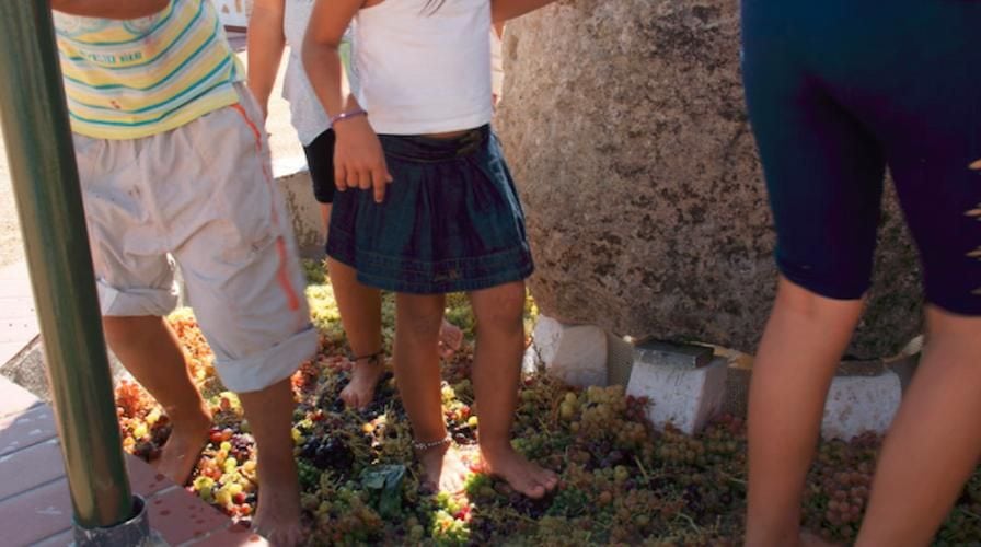 four children crushing grapes by stepping barefoot on the grapes inside stone vat at Tzivani Bio Wines